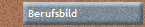 Berufsbild