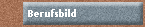 Berufsbild