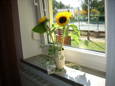 Fenstergestaltung